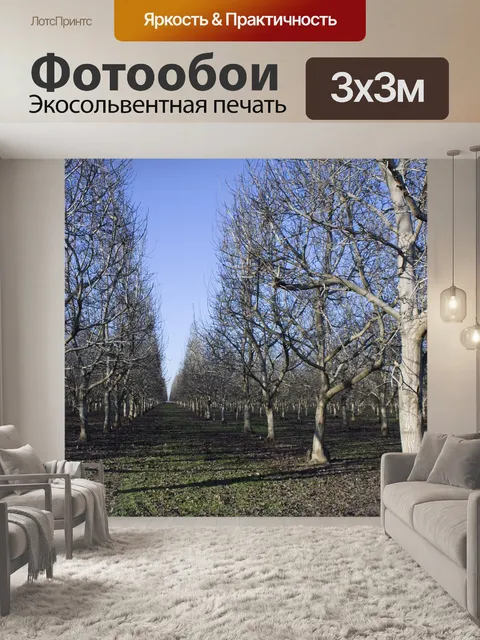 Фотообои Фруктовый сад