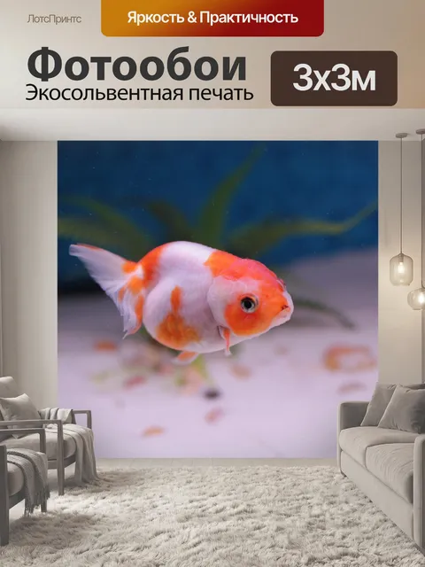 Фотообои Золотая рыбка