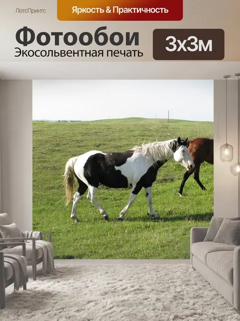 Фотообои Лошадь