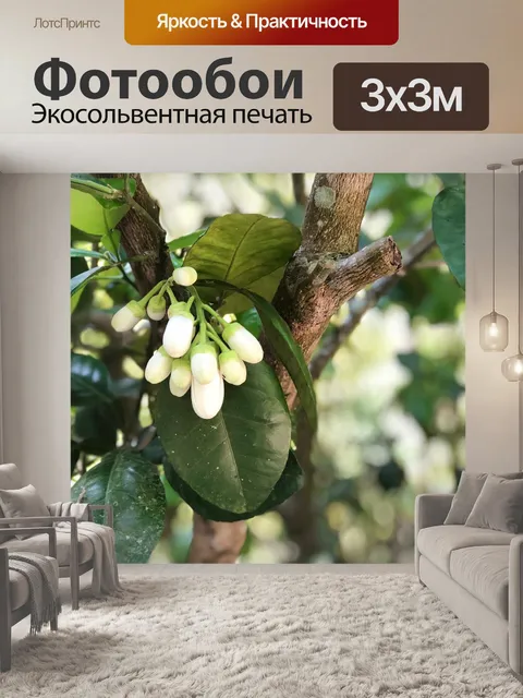 Фотообои Дерево
