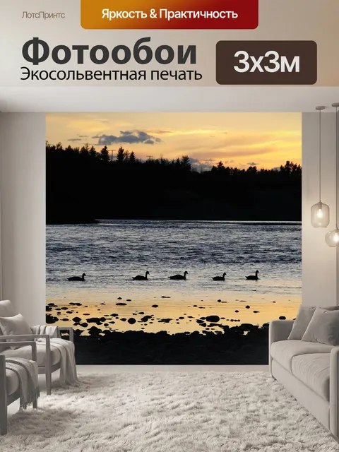 Фотообои Гуси