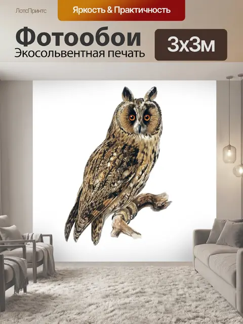 Фотообои Сова Винтаж клипарт наклейки
