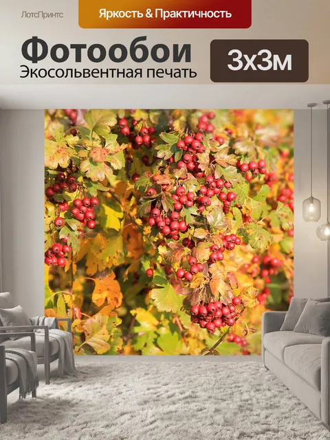 Фотообои Красные ягоды