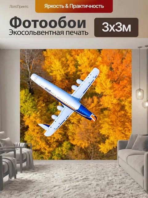 Фотообои самолет, плавно движущийся по желтой, осенней листве