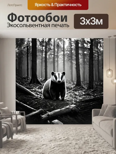Фотообои на пустом лесном просеке