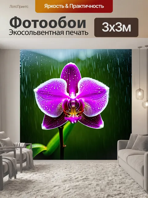 Фотообои орхидея под дождем, с каплями воды на лепестках