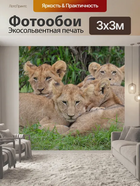 Фотообои Природа