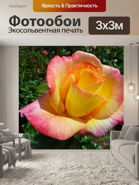 Фотообои Роза