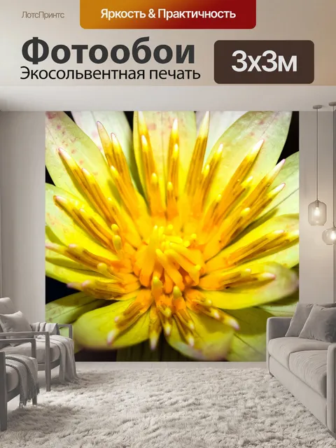 Фотообои цветок лотоса
