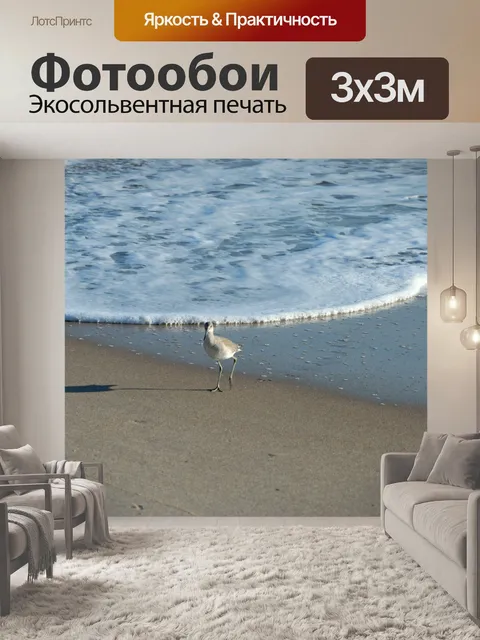Фотообои Кулик птица