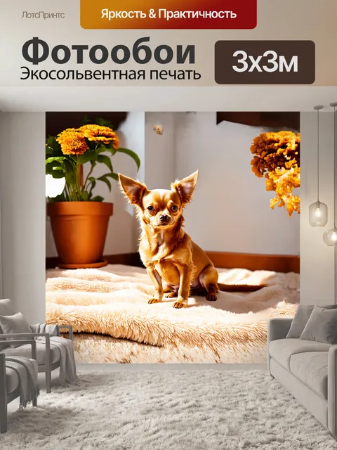 Фотообои уютная чихуахуа сидит на мягком пледике в солнечном углу комнаты, её шерсть переливается золотистыми оттенками