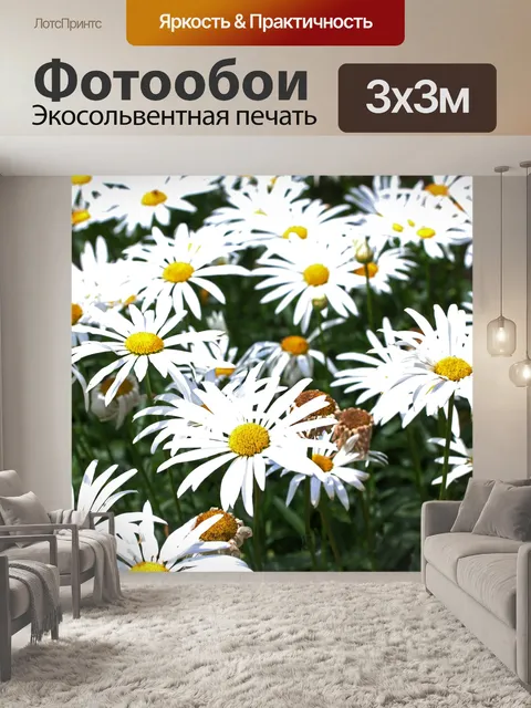 Фотообои белые ромашки в саду
