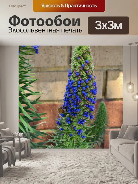 Фотообои Синий бутон эхиума и пчела