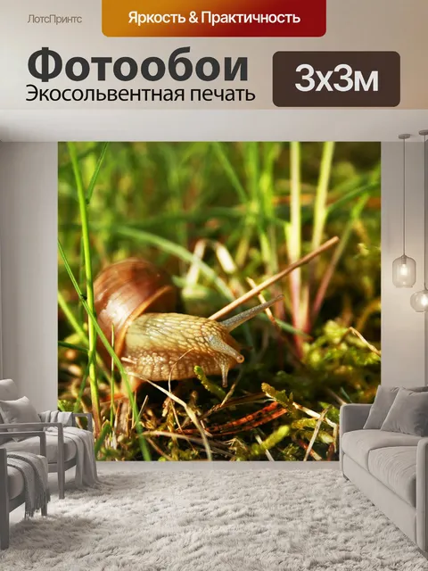 Фотообои Природа