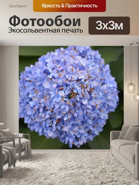 Фотообои Гортензия