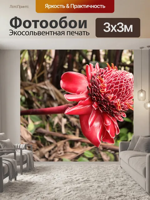 Фотообои Факел Имбирь Цветок