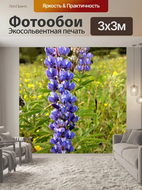 Фотообои Фиолетовый люпин
