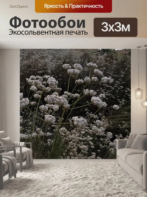 Фотообои Цветы гречихи