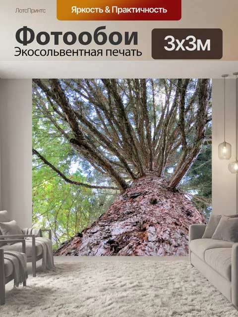 Фотообои дерево вид I
