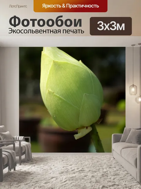 Фотообои Цветок лотоса