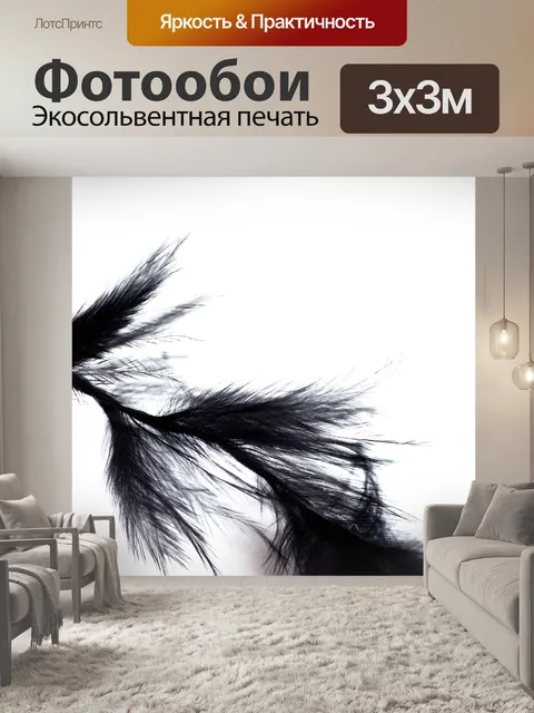 Фотообои черные перья