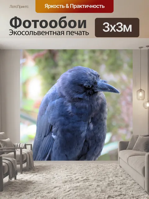 Фотообои ворона 3