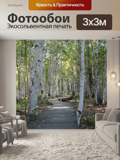 Фотообои Березы