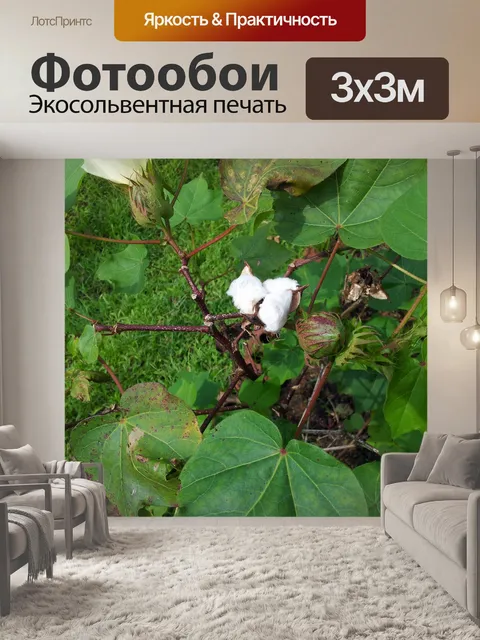Фотообои хлопчатника с бутонами