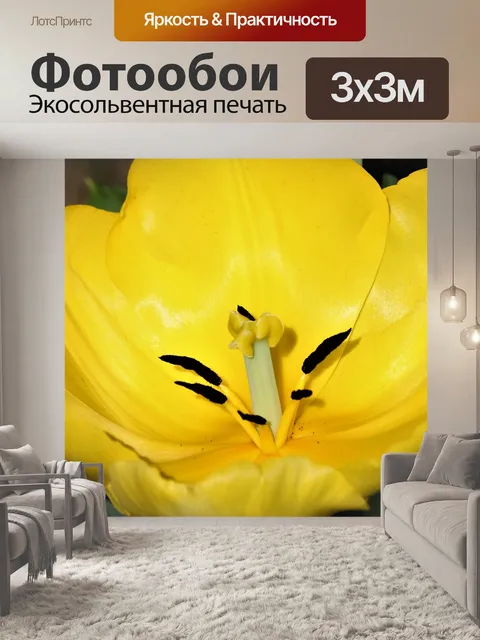 Фотообои Желтый тюльпан крупным планом