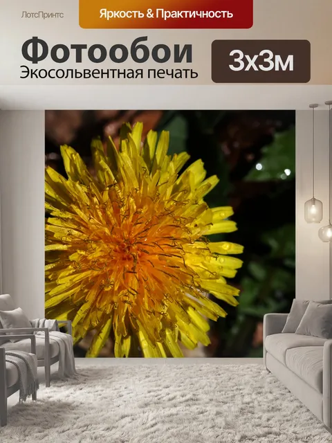 Фотообои закрыть деталь на желтом одуванчике