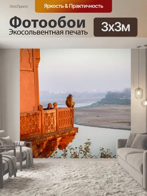 Фотообои Обезьяна