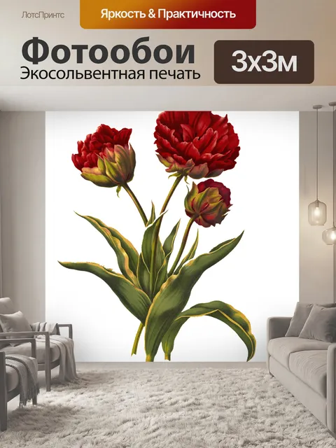 Фотообои Тюльпаны