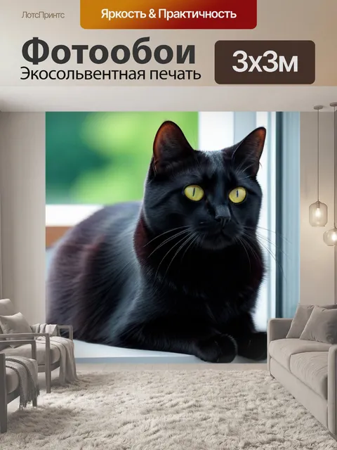 Фотообои чёрный кот, сидящий на окне