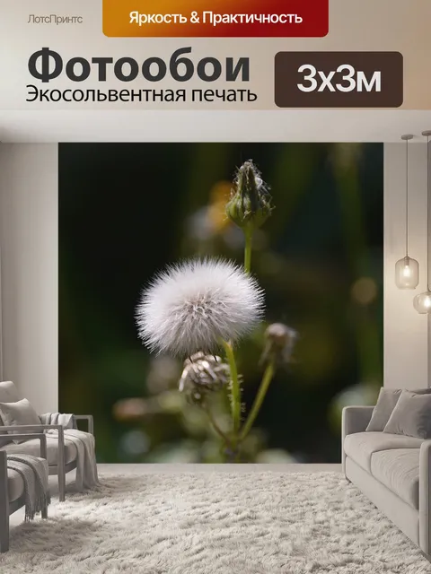 Фотообои Растение с белыми шарами
