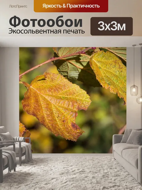 Фотообои Листья светло-карие