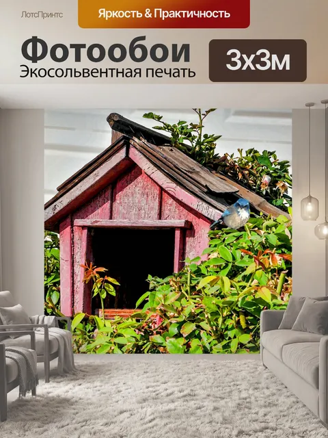 Фотообои синяя птица на красном скворечник