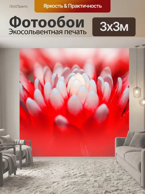 Фотообои Бромелию
