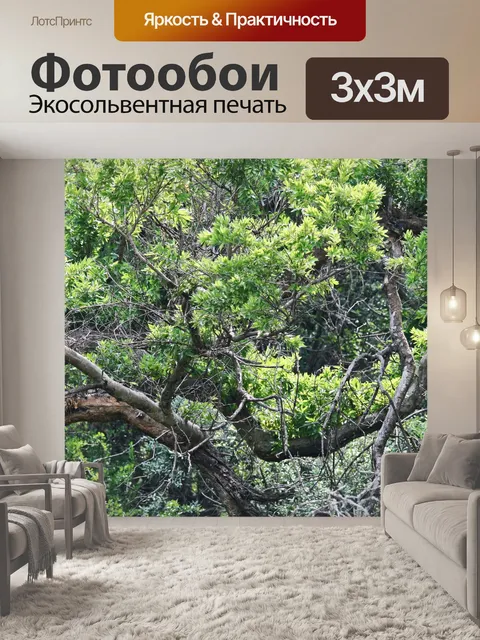 Фотообои ветви и листья