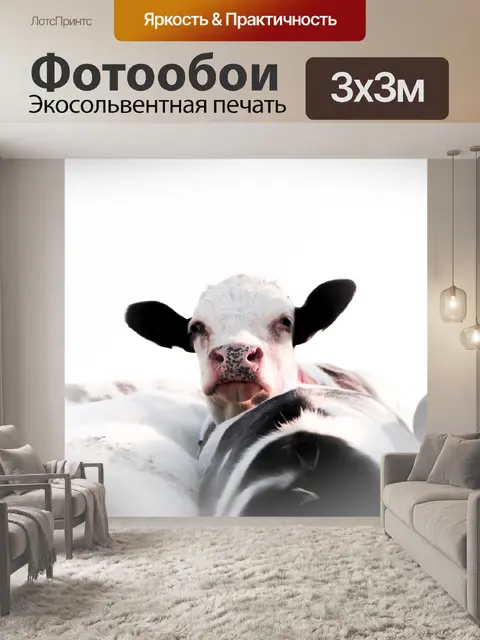 Фотообои Животные