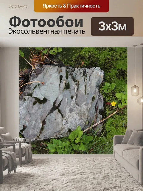 Фотообои Рок и желтый полевой цветок