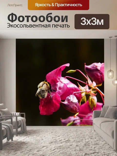 Фотообои Индийский бальзам