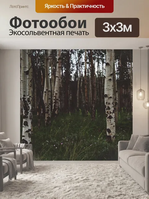 Фотообои Березы