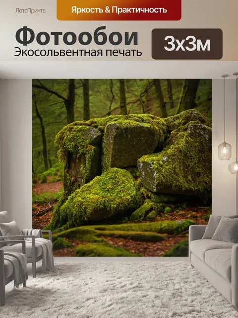 Фотообои старый лес с древними камнями и мохнатыми деревьями
