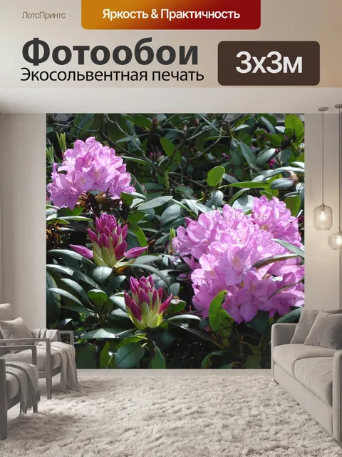 Фотообои Рододендрон