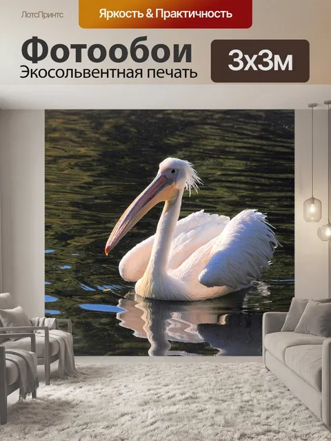 Фотообои Большой белый пеликан
