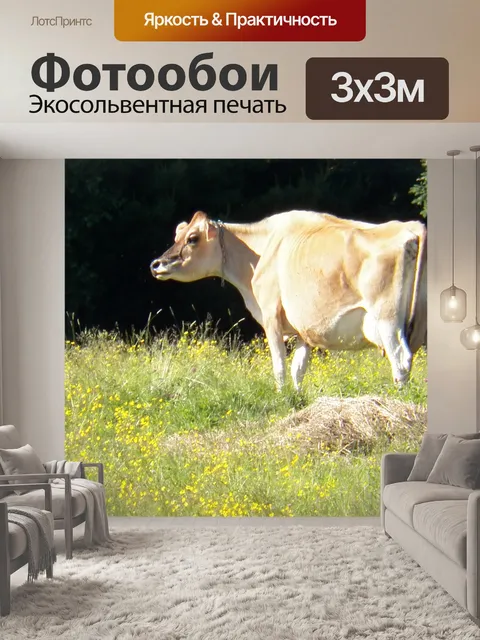 Фотообои одиночка