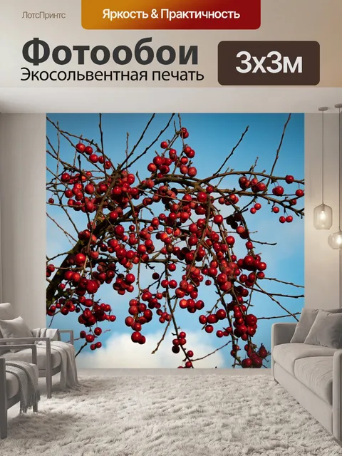 Фотообои Растение, падуб, луговой падуб