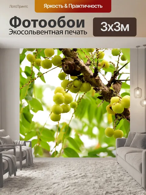 Фотообои Фруктовая гроздь