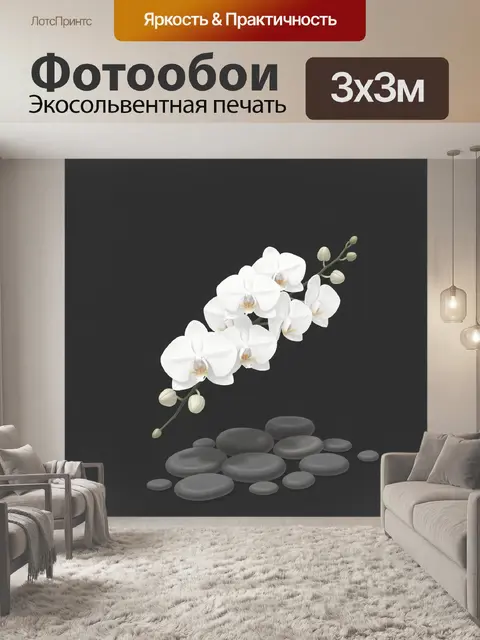 Фотообои Белая орхидея на темном фоне
