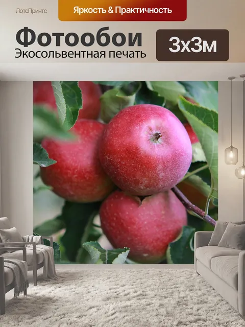 Фотообои Красное Яблоко